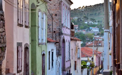 GÜNÜBİRLİK BERGAMA PAPATYA FESTİVALİ BERGAMA ve PAPATYA FESTİVALİ TURU